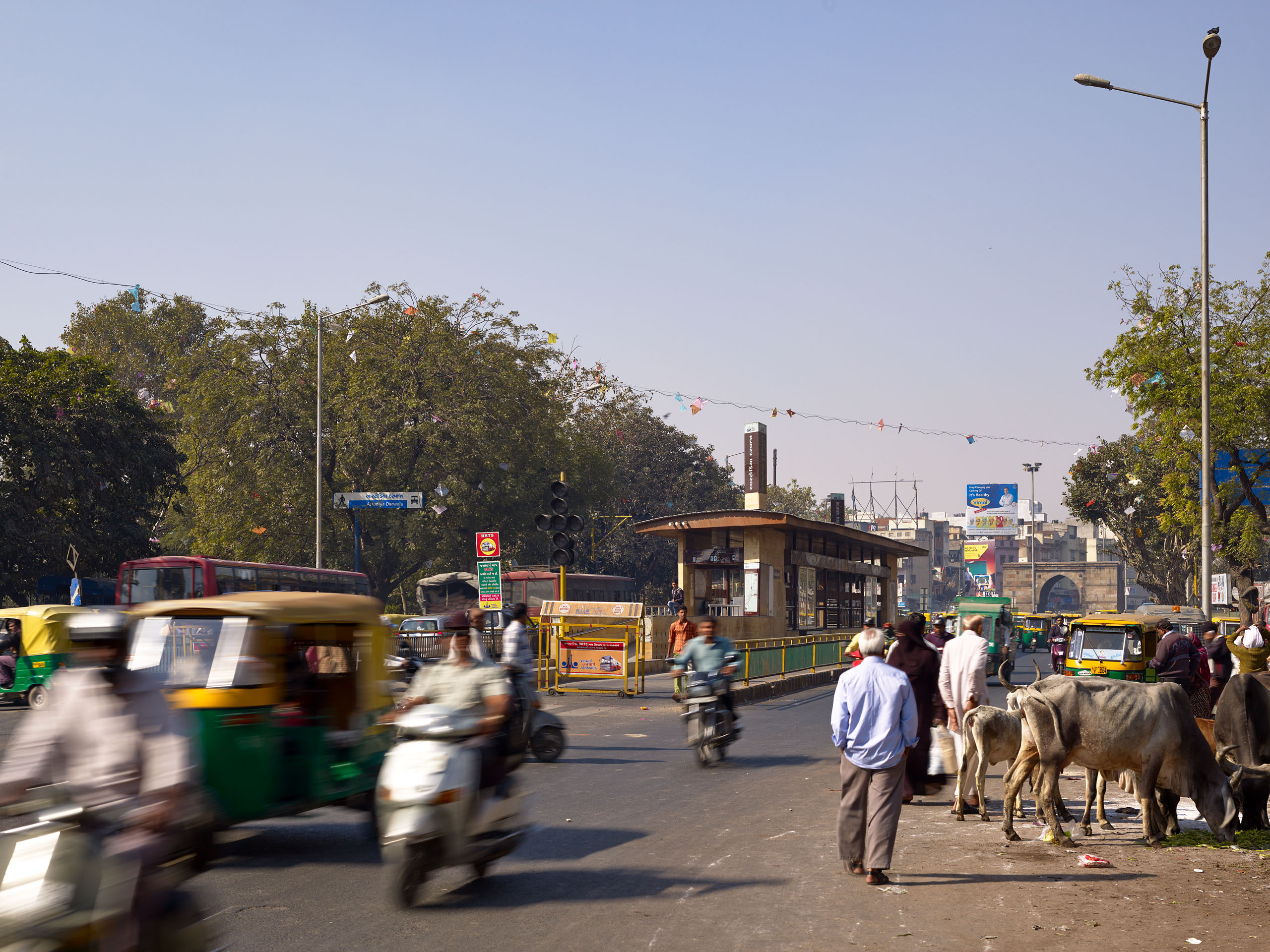 E14492 Alpa 042617 j2560